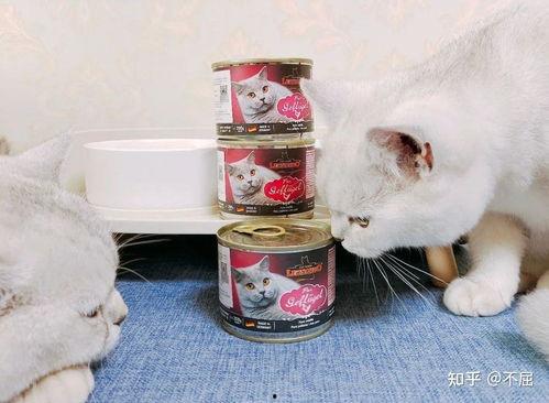 国产幼猫罐头评测视频,品质与营养的完美结合