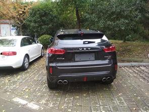 农村开国产车回家视频播放,农村家庭自驾回家温馨瞬间