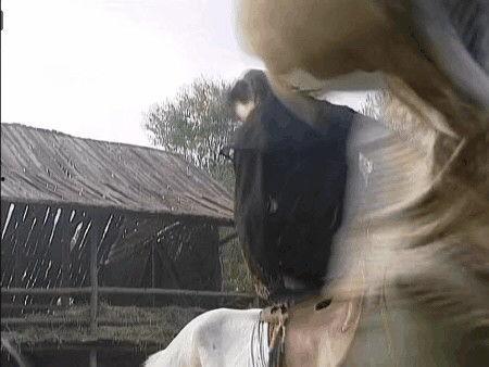 国产剧骑马视频在线观看,国产骑马剧精彩片段在线欣赏