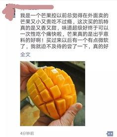 国产芒果好不好吃呀视频,美味与品质的完美融合
