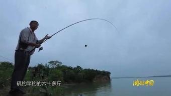 国产最好的炮竿推荐视频,揭秘最佳炮竿推荐视频