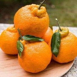 泰国产柑桔吗好吃吗视频,美味与视觉的双重盛宴