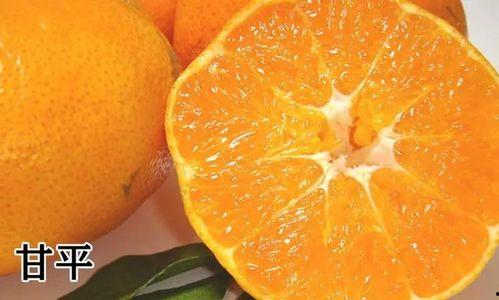 泰国产柑桔吗好吃吗视频,美味与视觉的双重盛宴
